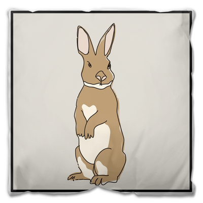 The Regal Rabbit Outdoor Pillows & cover