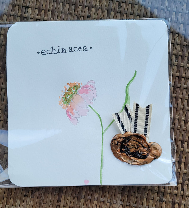 Echinacea Watercolor Card - Artski&Hush