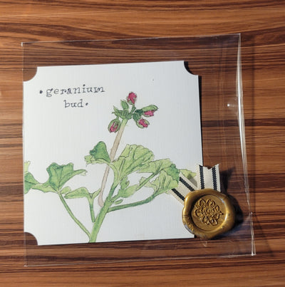 Geranium Bud Watercolor Card