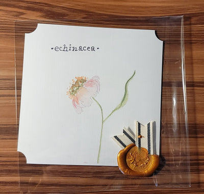 Echinacea Watercolor Card