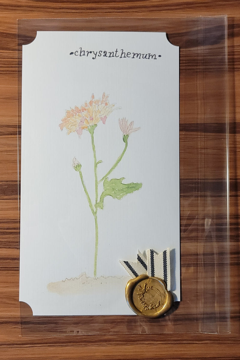 Chrysanthemum Watercolor Card