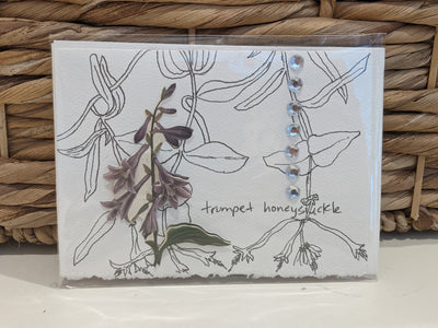 Trumpet Honeysuckle Illustrated Designer Notecard - Artski&Hush