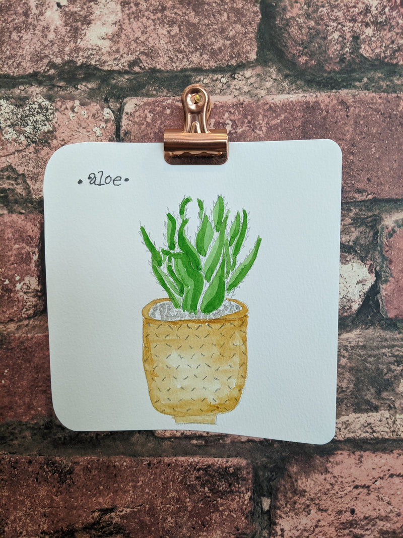Aloe Watercolor Card - Artski&Hush