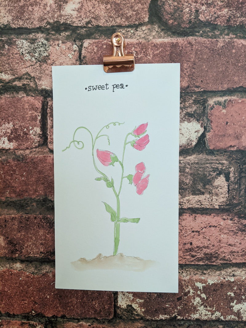 Sweet Pea Watercolor Card - Artski&Hush