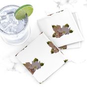 Mini Winter Flora Cocktail Napkins