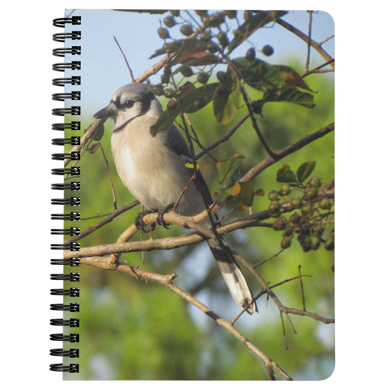 Samuel Bird Notebook - Artski&Hush